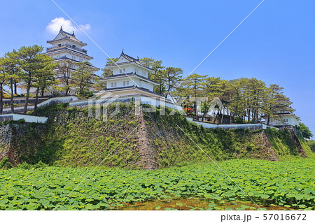 【長崎県】晴天下の島原城天守閣 57016672
