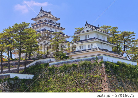 【長崎県】晴天下の島原城天守閣 57016675