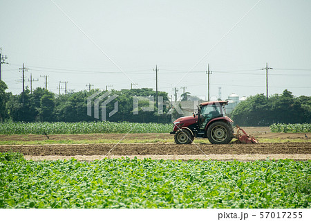 トラクター tractor 高原野菜 大自然 農耕車 農家 第一次産業 ドライバー 作物 トラクター tractor 高原野菜 大自然 農耕車 農家 第一次産業 ドライバー 作物 57017255