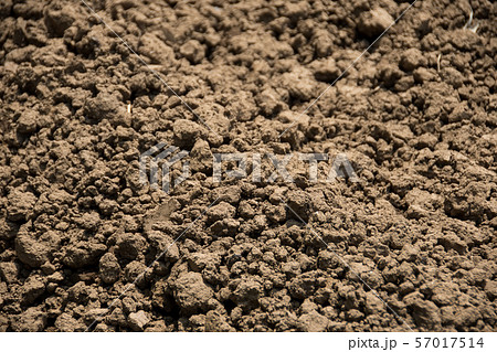 第一次産業 ファーム 農作業 土壌酸度 土壌 土 農耕 土壌作り 団粒構造 第一次産業 ファーム 農作業 土壌酸度 土壌 土 農耕 土壌作り 団粒構造 57017514