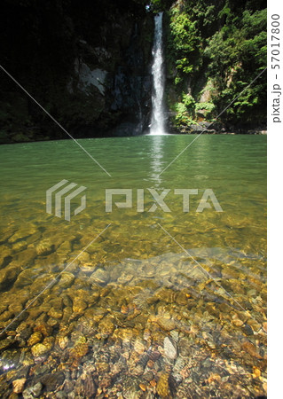 八反の滝 八反の滝 57017800