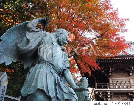 高尾山 紅葉の天狗増と四天王門の写真素材 [57017841] - PIXTA