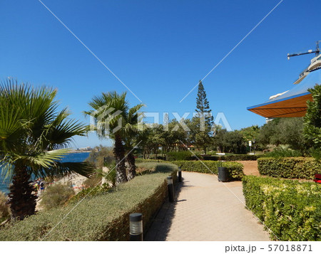 マルタ共和国スリーマにある公園 マルタ共和国スリーマにある公園 57018871