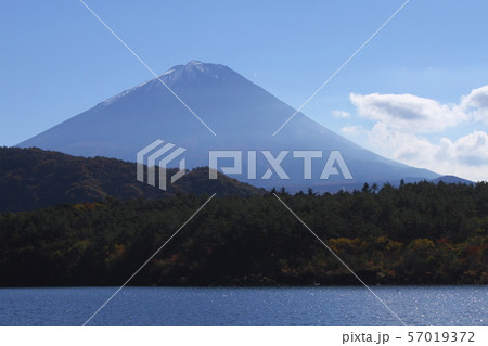 西湖越しに眺める富士山 57019372