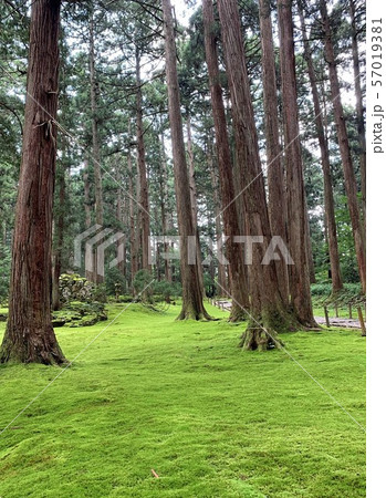 平泉寺白山神社のパワースポット 57019381