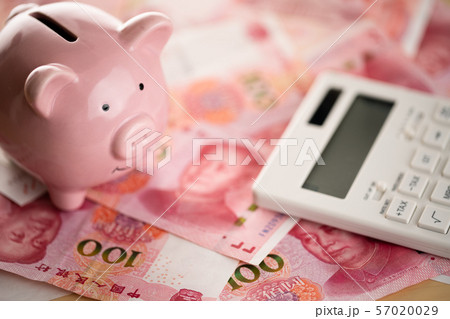家計をイメージしたお金と豚の貯金箱と電卓 57020029