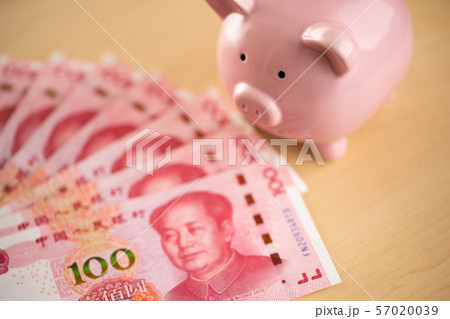 家計をイメージしたお金と豚の貯金箱 家計をイメージしたお金と豚の貯金箱 57020039
