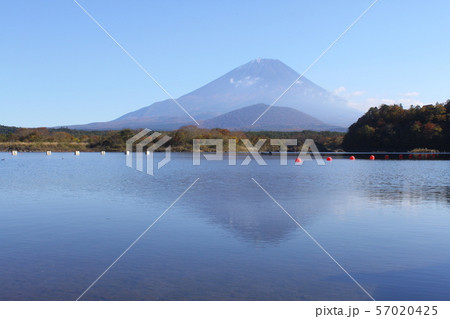 精進湖越しに眺める富士山 精進湖越しに眺める富士山 57020425