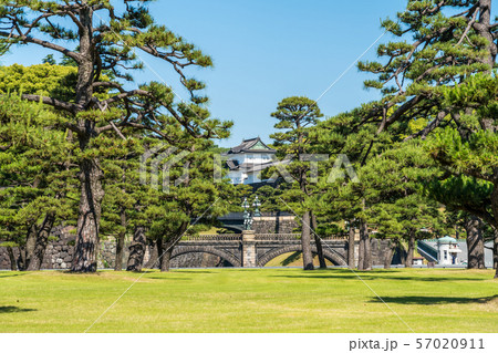 皇居前広場の風景 皇居前広場の風景 57020911