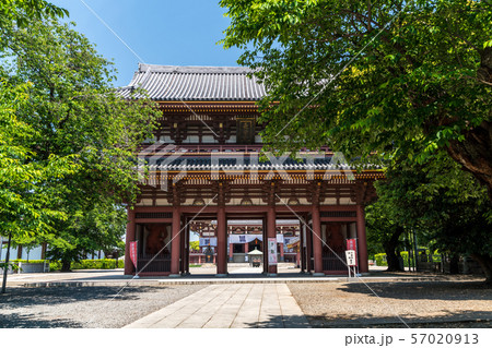 池上本門寺仁王門 池上本門寺仁王門 57020913