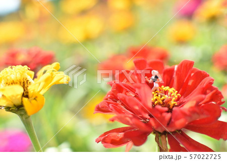 健康的に走る花の道 | 情景 健康的に走る花の道 | 情景 57022725