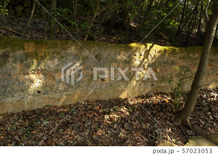 四国村　猪垣 57023053