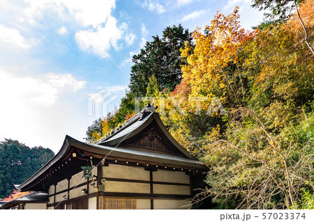 神饌所 日向大神宮境内の紅葉 神饌所 日向大神宮境内の紅葉 57023374