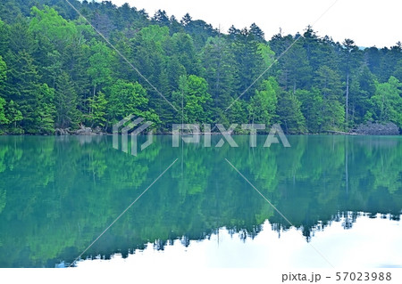 遊歩道から見るオンネトー湖の情景＠北海道 57023988