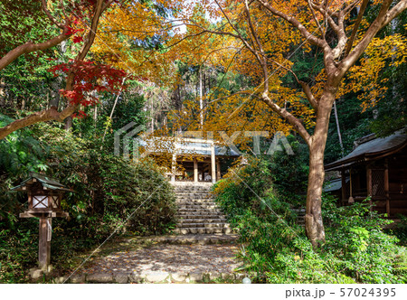 内宮 日向大神宮境内の紅葉 内宮 日向大神宮境内の紅葉 57024395