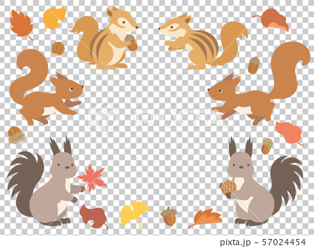 Illustration Set Of Three Squirrels And Autumn Stock Illustration