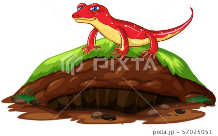 Nature scene with red gecko on hill 57025051