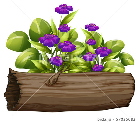 Little purple flowers on white background Little purple flowers on white background 57025082