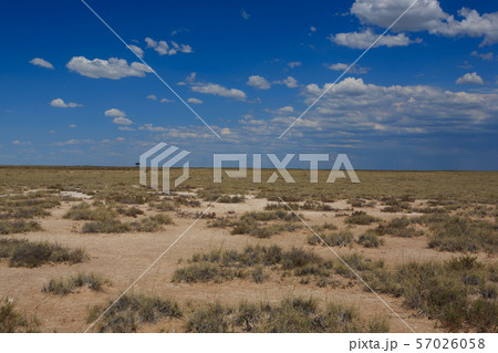 Etosha panorama 57026058