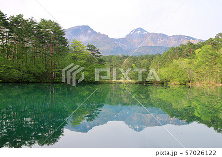 春の五色沼（福島県・裏磐梯） 57026122