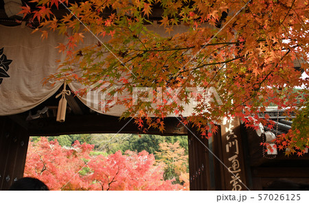 京都紅葉の名所　永観堂の紅葉 57026125