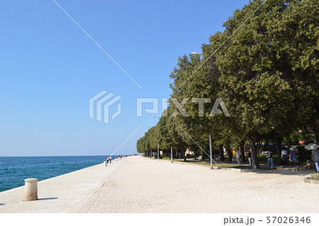 ザダルの海沿いの道 57026346