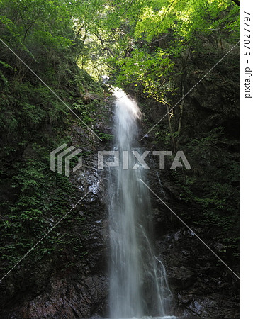 滝　払沢の滝 57027797