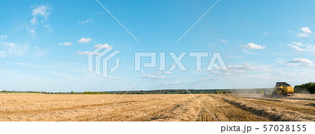 Panoramic photo of wheat field working combine harvester, blue sky. Panoramic photo of wheat field working combine harvester, blue sky. 57028155
