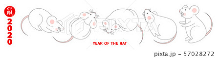 2020 Year of the RAT 57028272