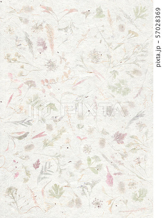 秋イメージの押し花、和紙アート 57028369