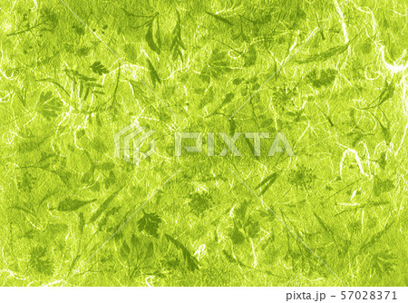 秋イメージの押し花、和紙アート 57028371