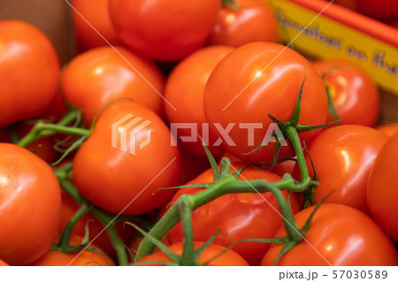 Delicious ripe red branch tomatoes. Summer tray market agriculture farm full of organic vegetables 57030589