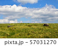 草原 57031270