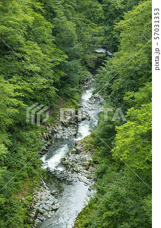 中津川渓谷　猪苗代町 57031353