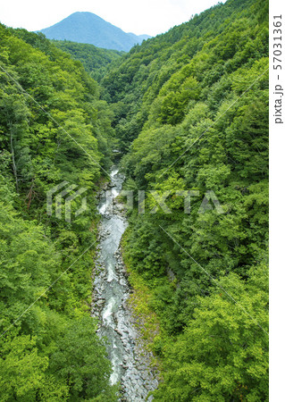 中津川渓谷　猪苗代町 57031361