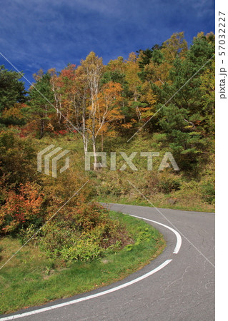 はじまりの紅葉 はじまりの紅葉 57032227