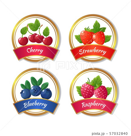 Berry jam and marmalade labels. Fresh summer fruits stickers vector template 57032840