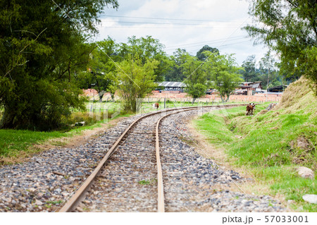 Railroad tracks in rural area of Colombia Railroad tracks in rural area of Colombia 57033001