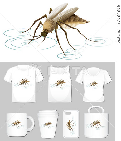 Graphic of mosquito on different product templates 57034366