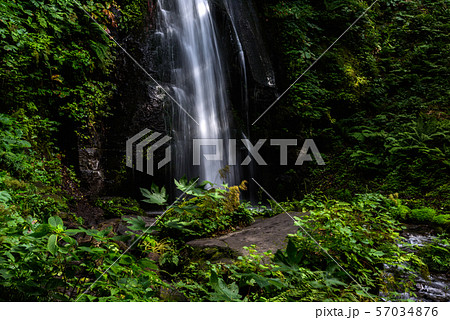 奥入瀬渓流　雲井の滝 57034876