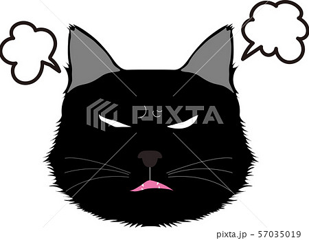 怒る黒猫 怒る黒猫 57035019