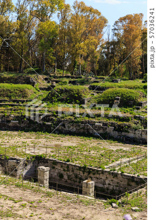 Old grown with grass stairs of Ancient ruins of Anfiteatro Romano Siracusa Old grown with grass stairs of Ancient ruins of Anfiteatro Romano Siracusa 57036241