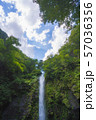 阿弥陀ヶ滝 57036356
