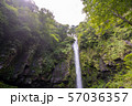 阿弥陀ヶ滝 57036357