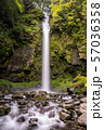 阿弥陀ヶ滝 57036358