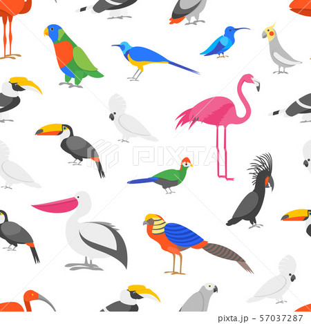 Cartoon Color Exotic Bird Seamless Pattern Background. Vector 57037287