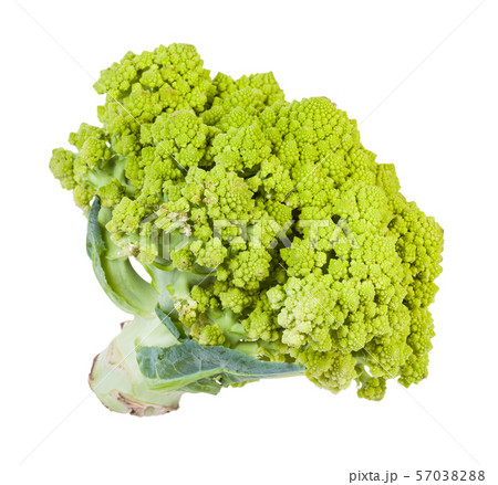 fresh romanesco broccoli isolated on white 57038288