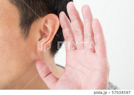 男性　耳 57038597