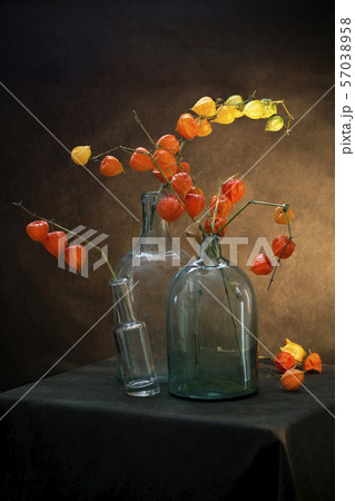 Still life with branches of physalis in glass jars Still life with branches of physalis in glass jars 57038958