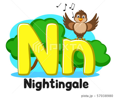 Alphabet Nightingale Sings The Song Letters Nn Onのイラスト素材